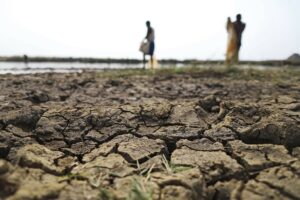Climate Change: New research sparks call for inclusive action in Kaduna, Kano, Jigawa