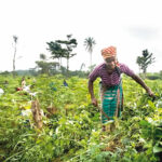 women-farmers