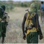 DSS’ speculated capture of Mahmuda sparks joy in Kwara, Niger
