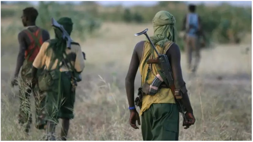 DSS’ speculated capture of Mahmuda sparks joy in Kwara, Niger
