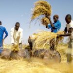 Farmers