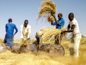 Farmers