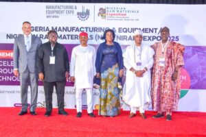 Innovation, technology key to Nigeria’s industrial development – Nnaji