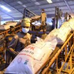 Nigeria’s fertiliser blending capacity jumps 22-fold under NSIA