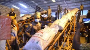 Nigeria’s fertiliser blending capacity jumps 22-fold under NSIA