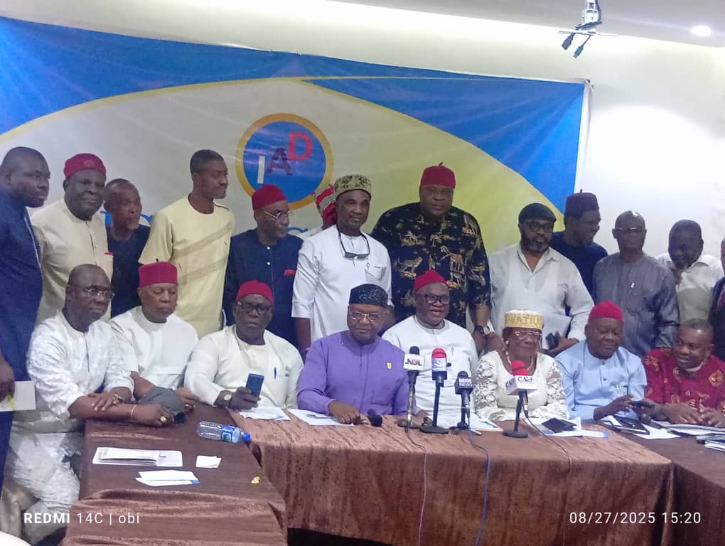Too early for Igbo to endorse any presidential candidate — Okorie