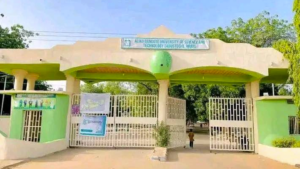 Dangote University Wudil halts ‘Fake Pregnancy Day’ event