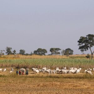 Benue