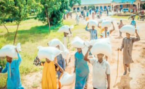 Yobe unveils 2025 preparedness plan against flash floods
