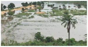 Ebonyi-Flood