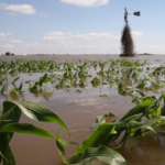Farm-flooding
