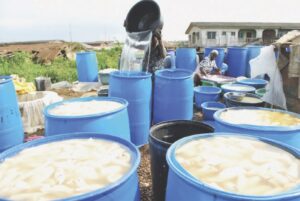 Food
