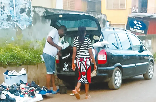 car trunk shops