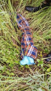 Soldiers recover weapons abandoned by herdsmen in Benue village