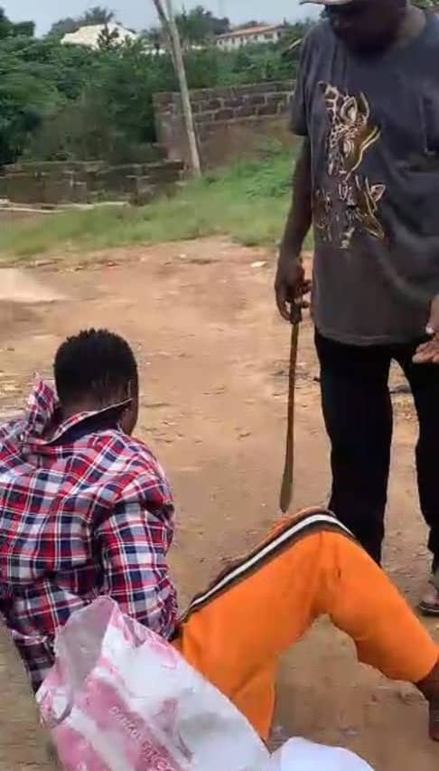 Osun: Man poisons boy for stealing maize on his farm