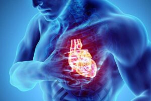 cardiovascular