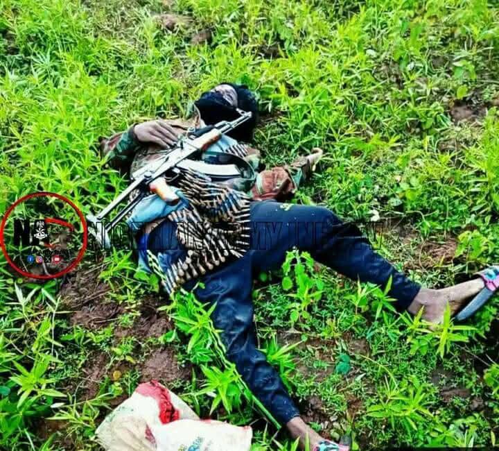 Niger: Troops neutralise scores of bandits in Babanna community