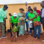 Lafarge Africa, Ogun partner on 1m tree planting project
