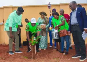 Lafarge Africa, Ogun partner on 1m tree planting project