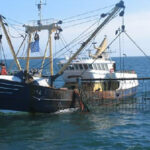 trawler