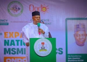 Vice President Kashim Shettima