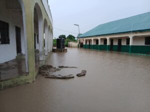 Flood wreaks havoc in communities in Taraba