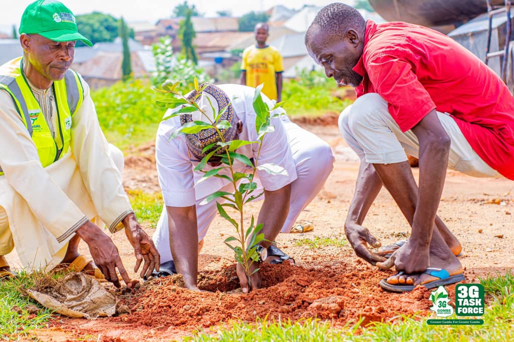 Gombe hits 5 million trees, targets national afforestation record