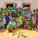 Gombe hits 5 million trees, targets national afforestation record