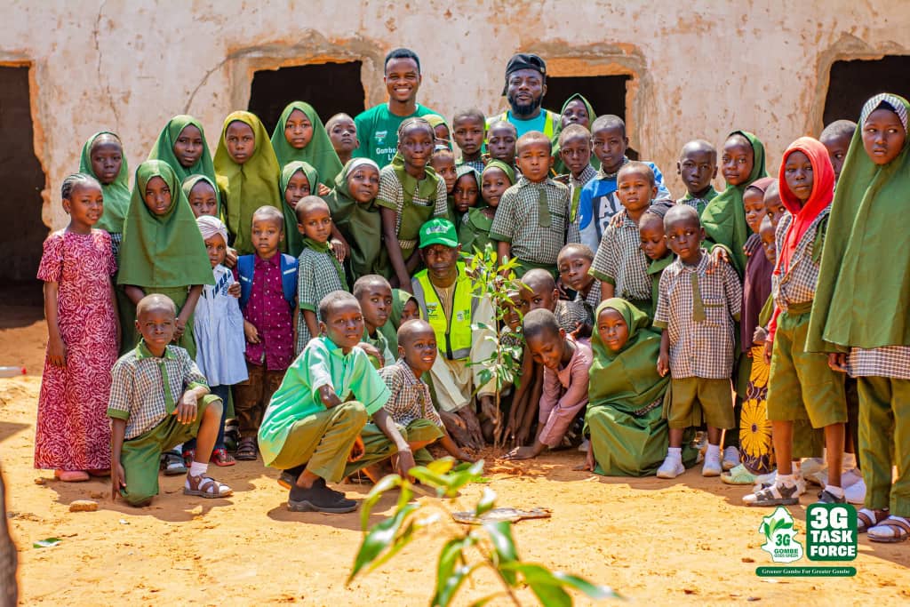 Gombe hits 5 million trees, targets national afforestation record
