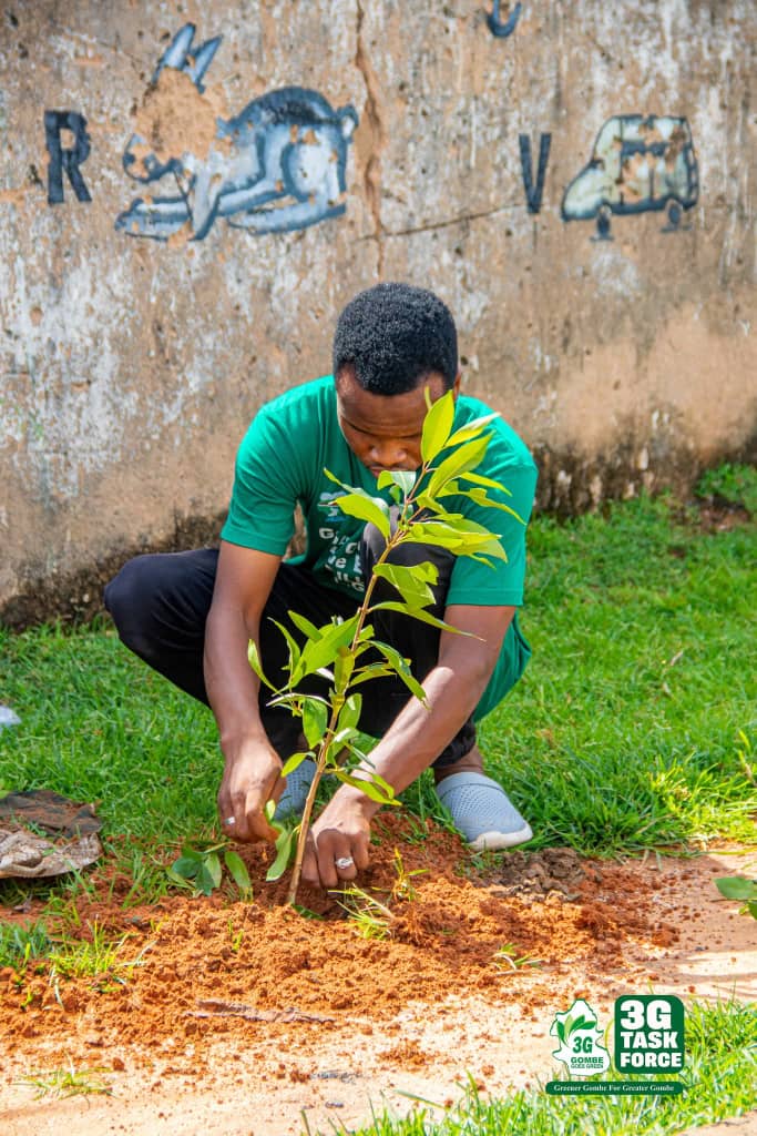 Gombe hits 5 million trees, targets national afforestation record