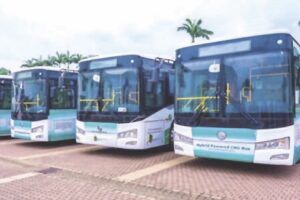 Bus