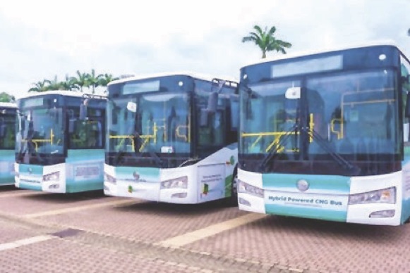 Bus