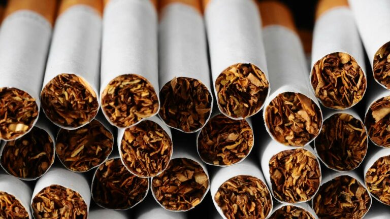 tobacco