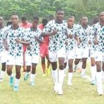 Eaglets