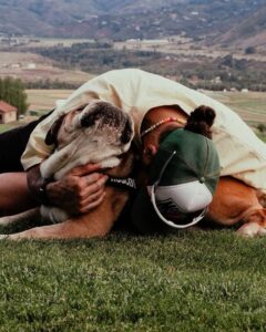Lewis Hamilton and his pet dog Roscoe