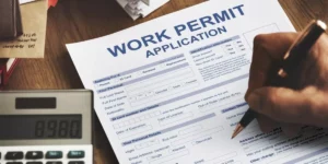 Finland work application permit