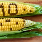 GMO maize