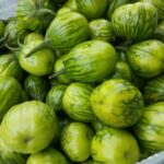 Garden-Egg-Green