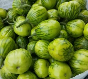 Garden-Egg-Green