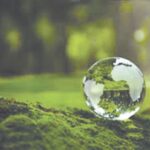 environment
