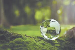 environment