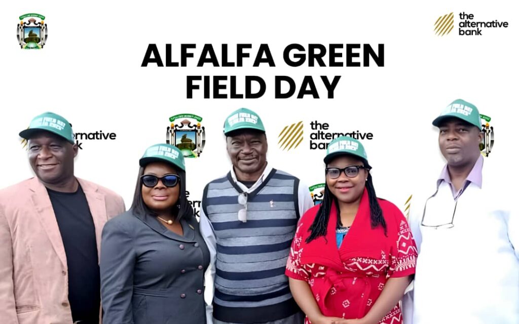 L-R: Yakubu Ayuba, Registrar, Plateau State University (PLASU); Ugonwa Ikegwuonu, Head, Agric Finance, The Alternative Bank; Dr. Steven Akpa, Hon. Commissioner of Livestock Development, Plateau State; Professor Keziah Kaslong, Deputy Vice-Chancellor (Administration), PLASU, and Associate Professor Hosea Istifanus Finangwai, Dean, Faculty of Agric, PLASU and Lead, Alfalfa Project Research Team, at the Alfalfa Green Field Day in Bokkos, Plateau