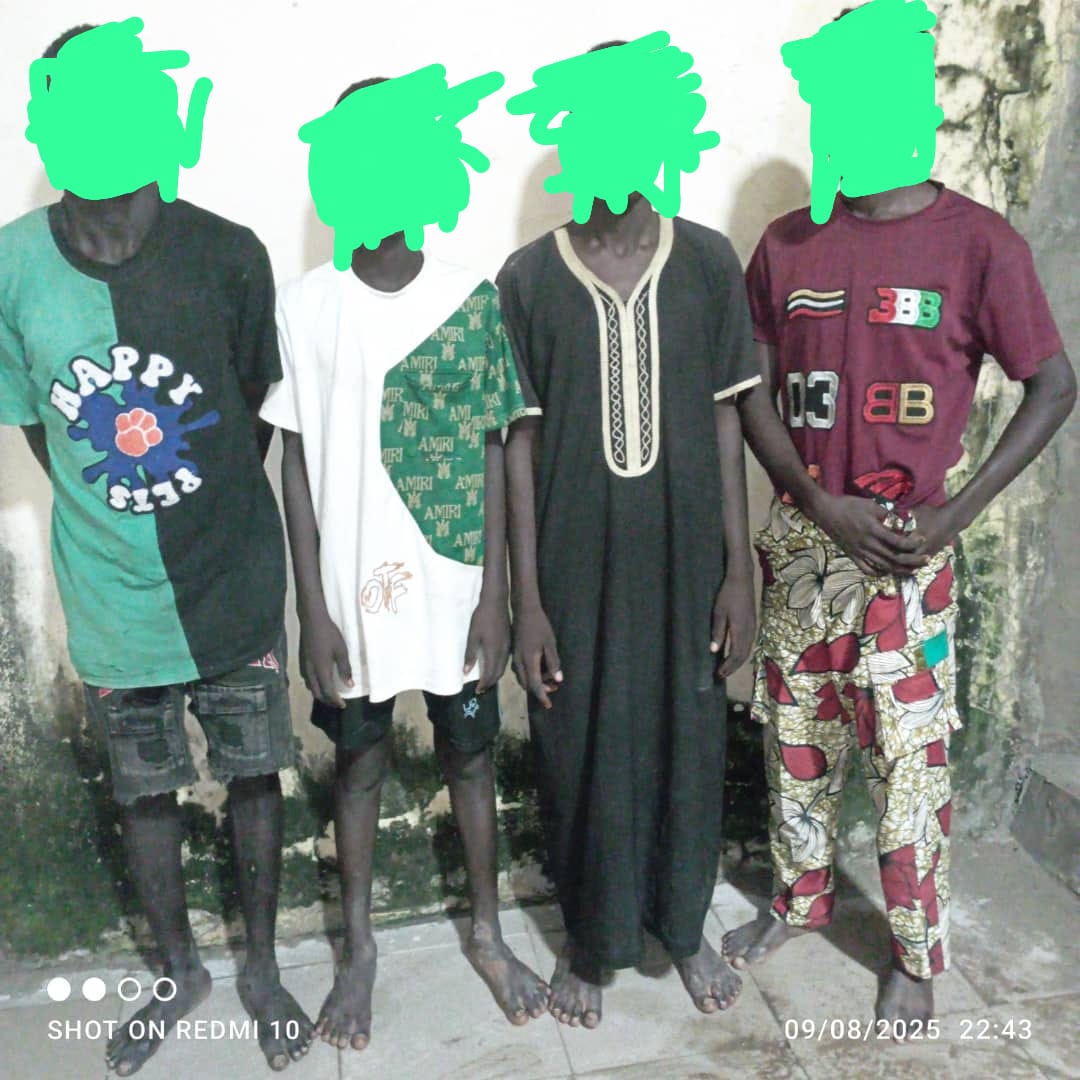 Gombe: Police arrest drug dealer, tricycle thief, 4 robbery suspects