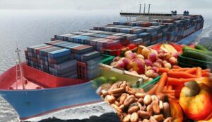 Non-oil-export-