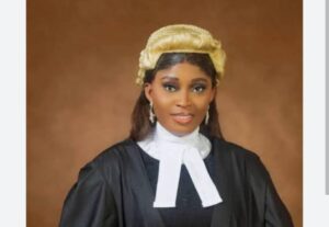 Onyesom Peace Udoka