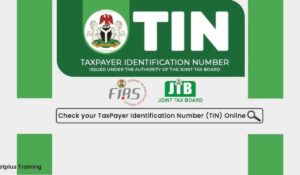 Tax Identity Number