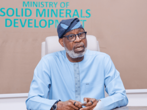 Minister of Solid Minerals Development Dr Dele Alake