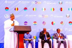 Food sovereignty: FG pushes for more investment in tomato, cassava, maize