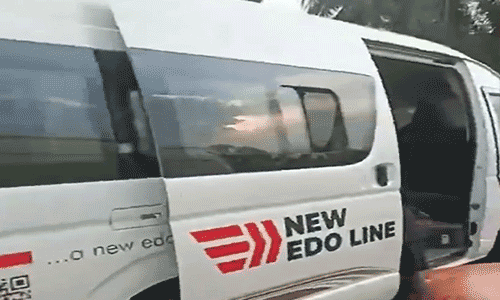 edo-line