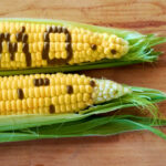 genetically-modified-foods